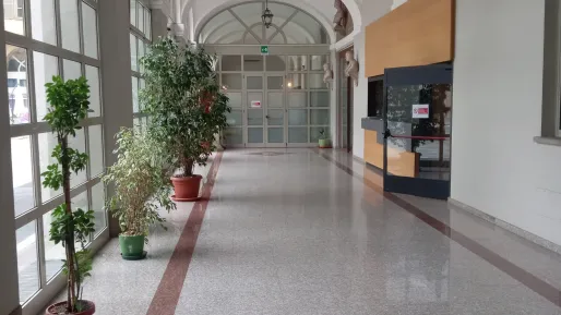 Hall di Artigianelli