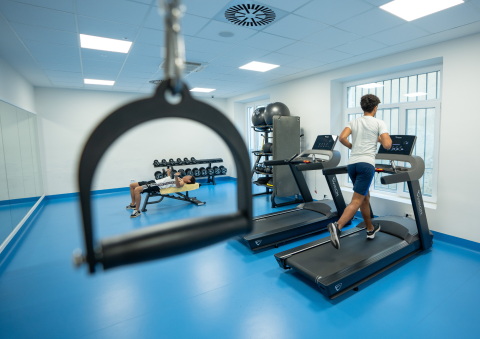 Palestra con attrezzature