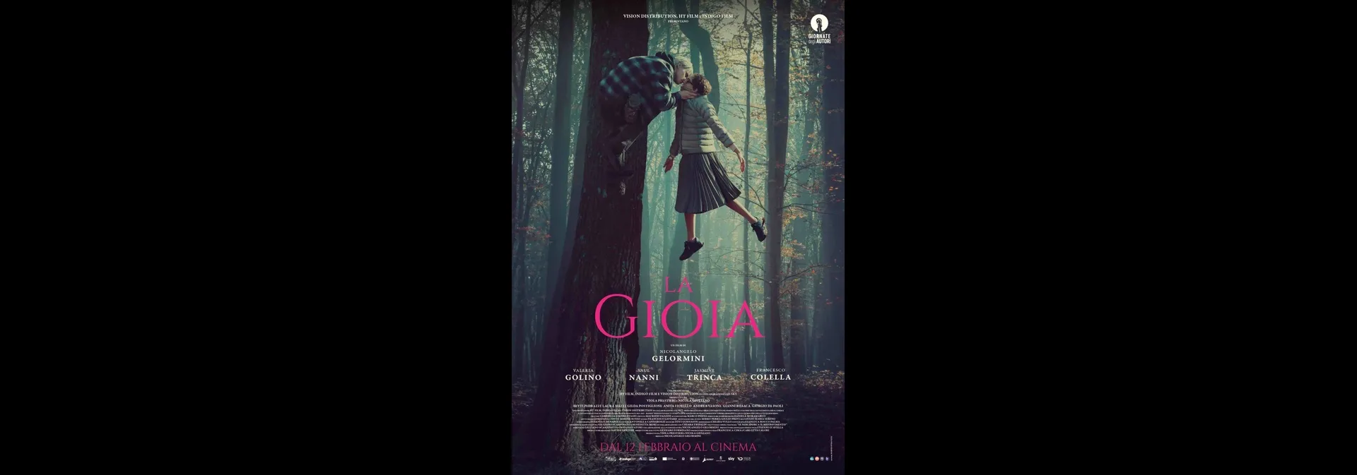 Manifesto Film La Gioia