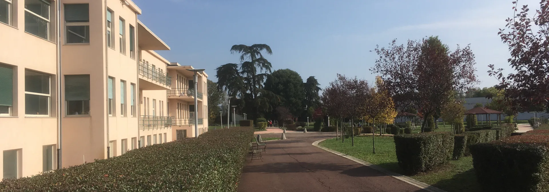 MensaAlternativaTeresioBorsalinoCortile